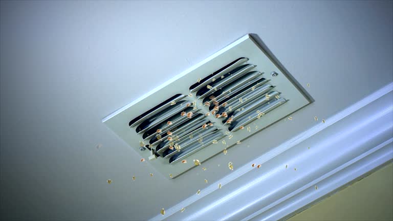 Best Residential Air Duct Cleaning  in Granvle, IL