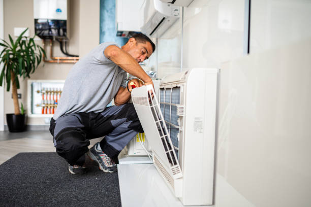 Best Residential Air Duct Cleaning  in Granvle, IL