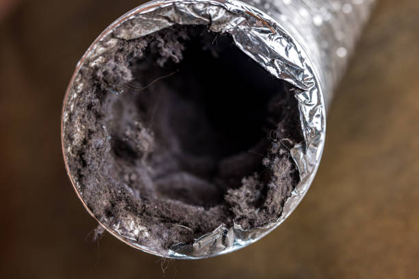 Affordable HVAC Duct Cleaning in IL